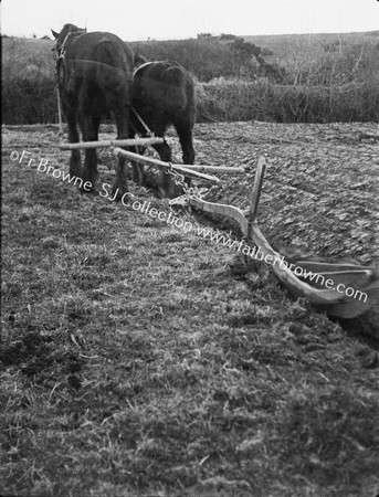 OLD WOODEN PLOUGH IN USE